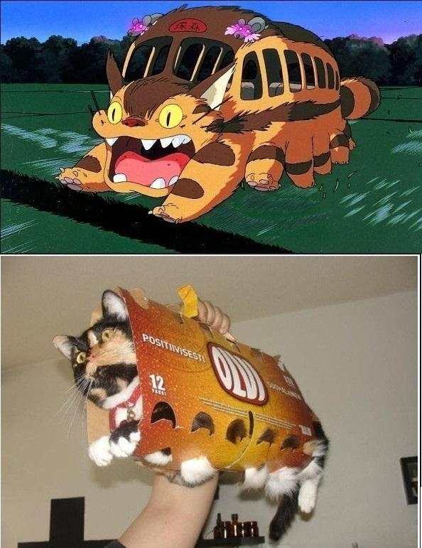 The Catbus x-post rshittycosplay