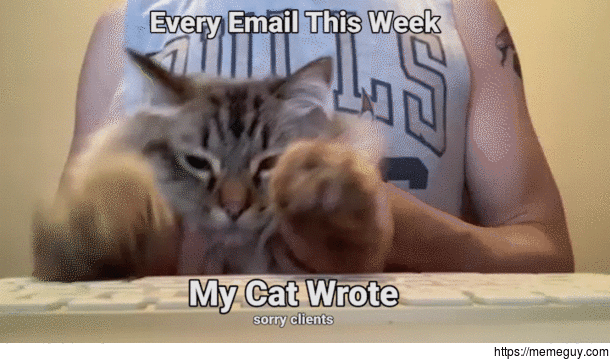 The cats out of the bag