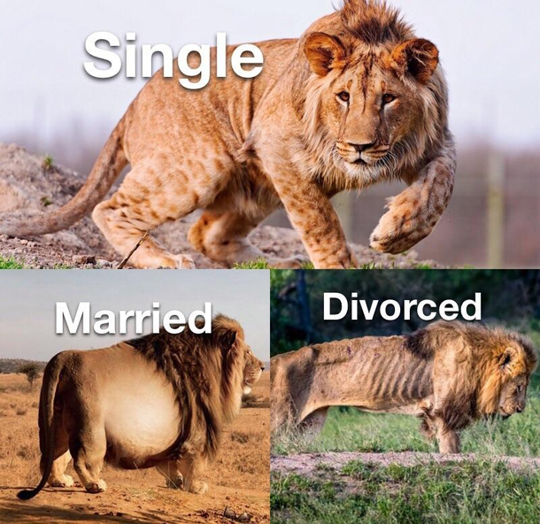 The circle of life