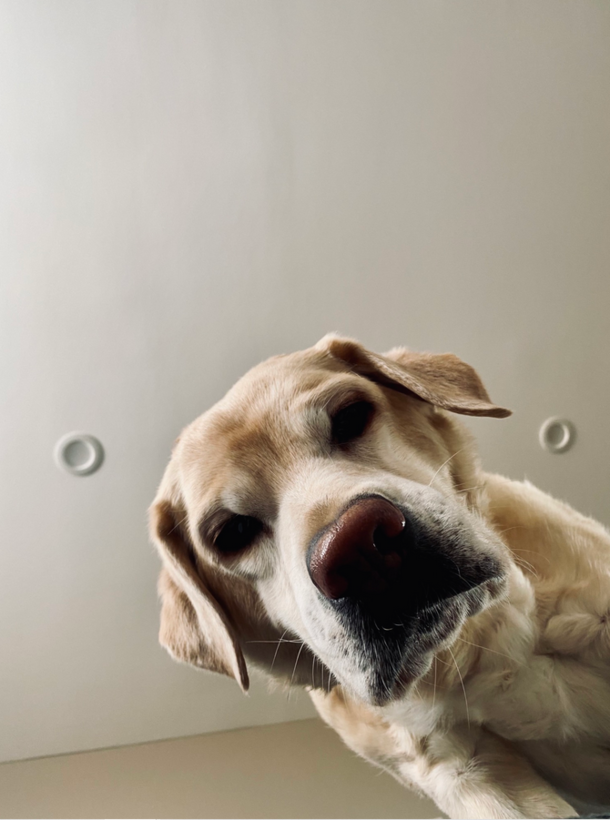 The clock says  am Wheres my food Whats a time change