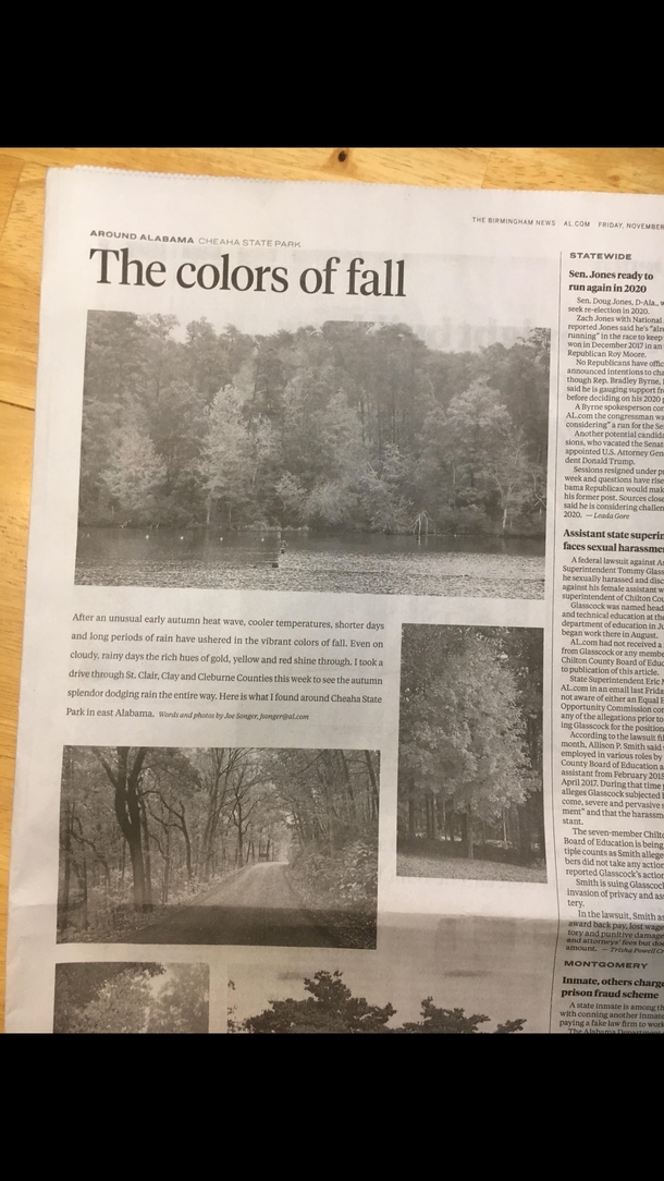 The color of Fall