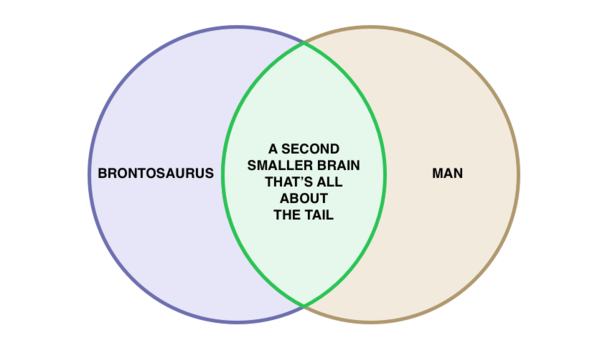 The complexity of men and dinosaurs