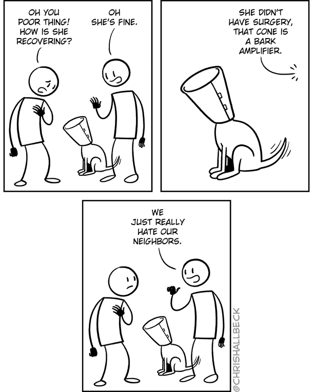 The cone