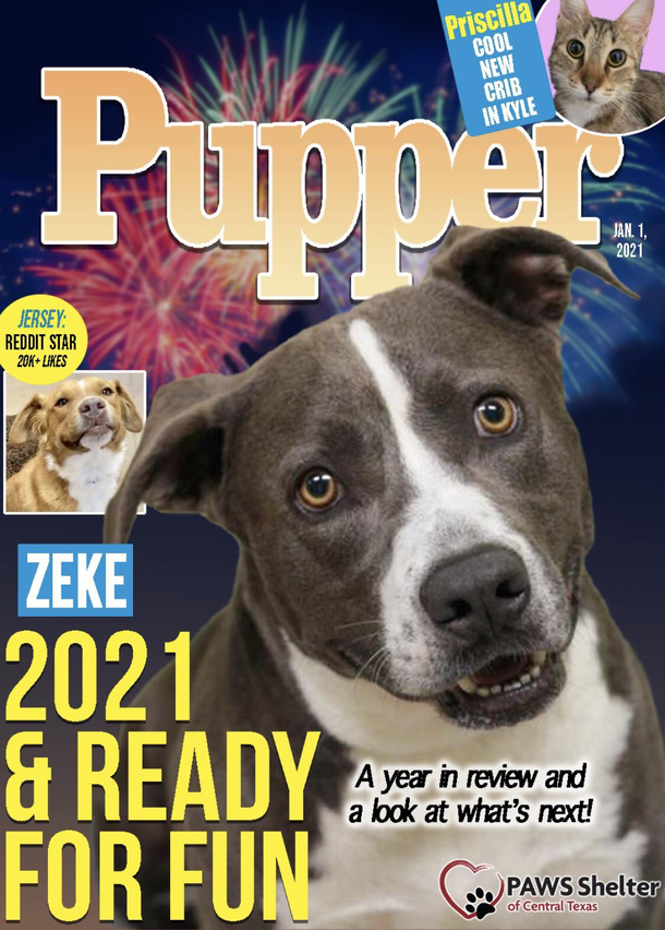 The cover to my local animal shelters newsletter