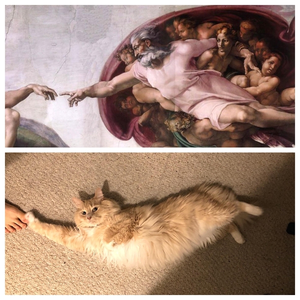 The Creation of Long Boi