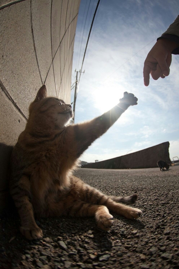 The Creation of Reddit 