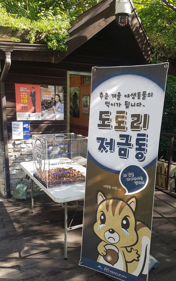 The crying squirrel saying Are you taking my food So cold-hearted A sign in a park in Korea asking people not to take acorns home since theyre wild animals food in winter and to leave any acorns theyve gathered in the box before leaving the park
