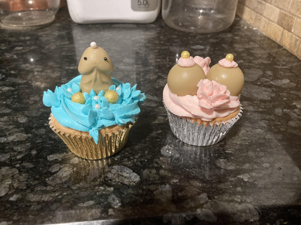 The cupcakes given to us when our neighbor spayed their dog