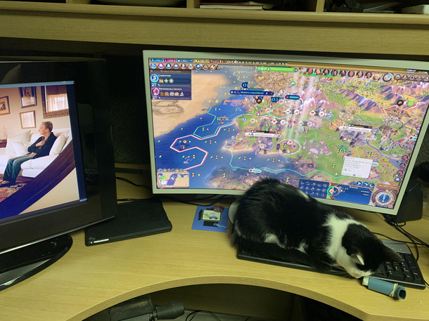 The decoy keyboard worked