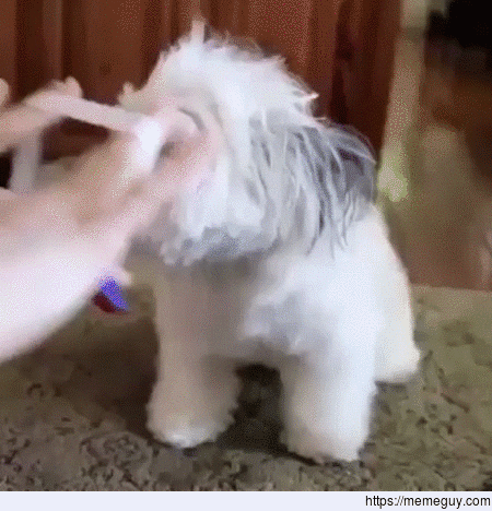 The derpiest of high fives