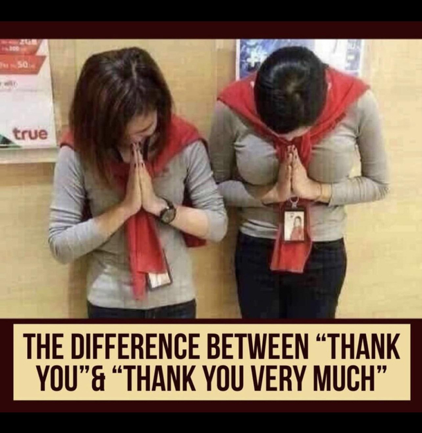 THE DIFFERENCE BETWEEN THANK YOUamp THANK YOU VERY MUCH