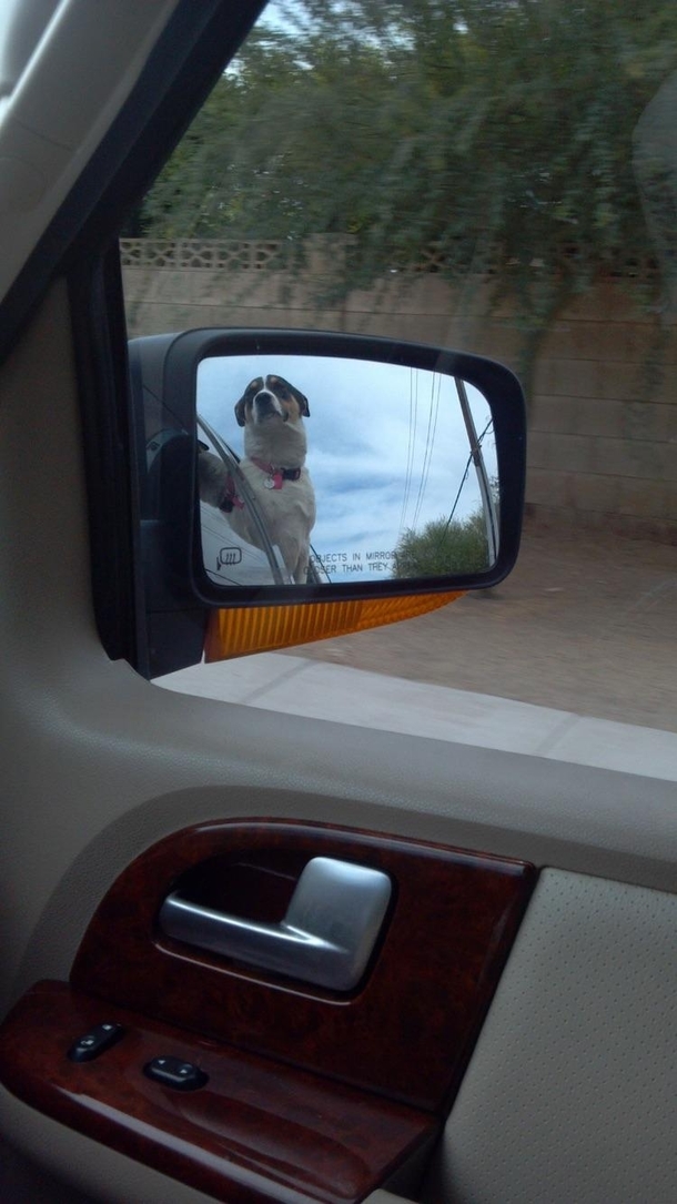 The disappointment shell have in  minutes when we show up at the vet instead of the dog park