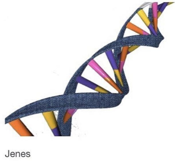 The DNA of a Canadian