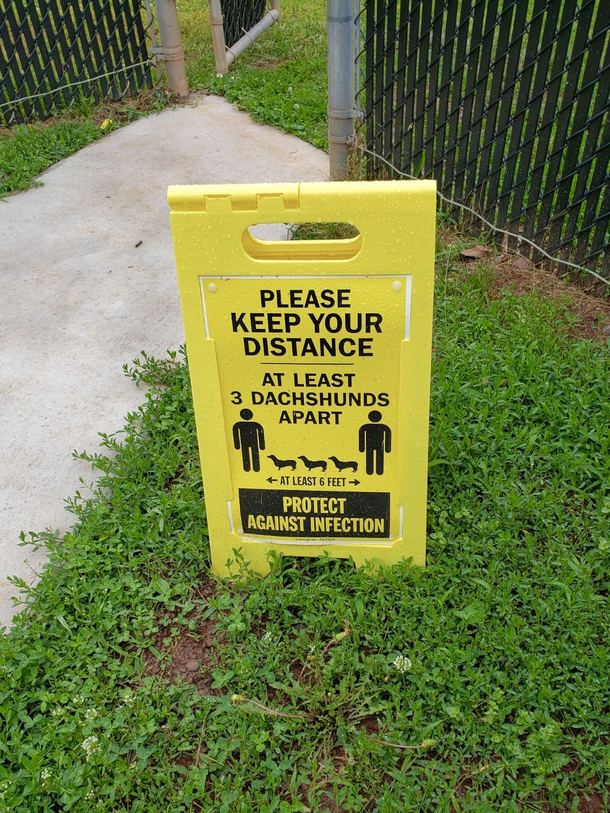 The Dog Park Opened Today