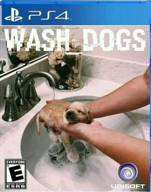The dogy is so cute