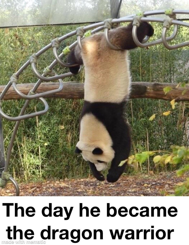 The Dragon Warrior
