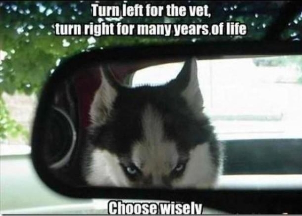 The driver chose to turn right
