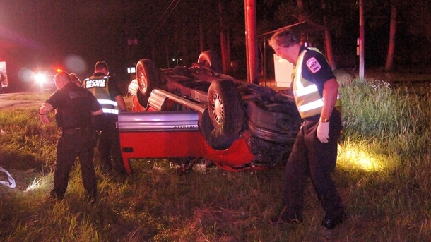 The driver was never found but a fair amount of catnip all over the front seat was taken in as evidence