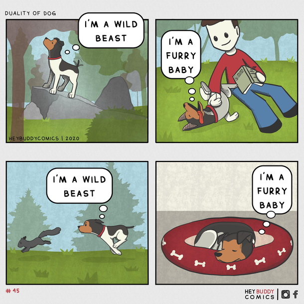 the duality of dog