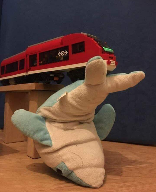 The Dutch police departement have started reconstructing last weeks train accident