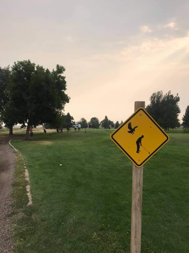 The eagles will eat you