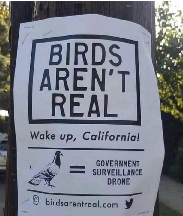 The Earth is flat and vaccines are useless