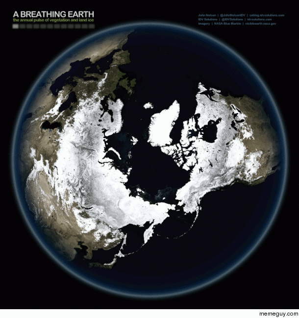 The Earths Seasonal Heartbeat as Seen from Space
