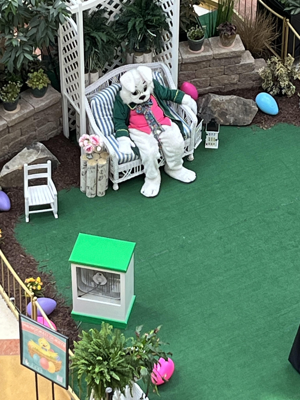 The Easter Bunny was at the mall today appears unenthused
