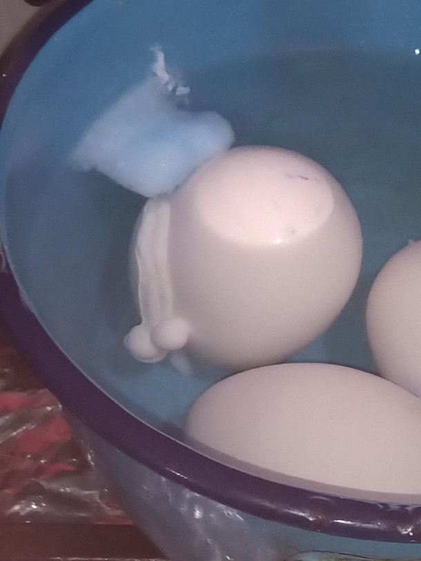 the egg that I was going to boil to eat just eliminated my appetite
