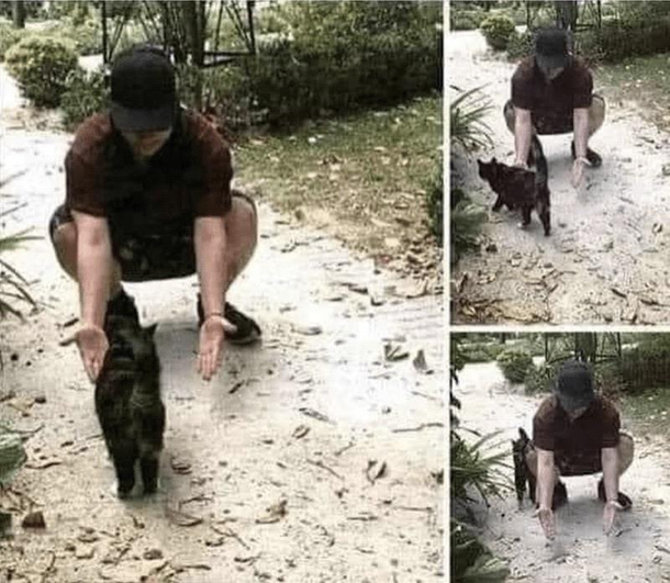 The emotional reaction of a cat after seeing its owner for the first time in  months