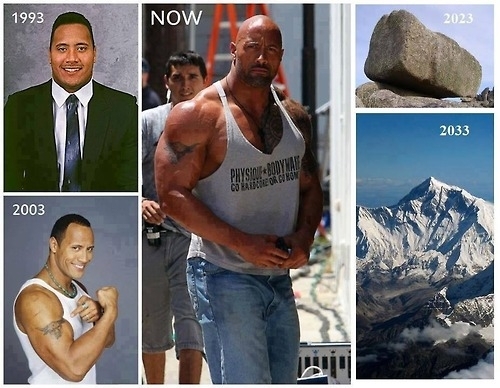 The evolution of Dwayne The Rock Johnson