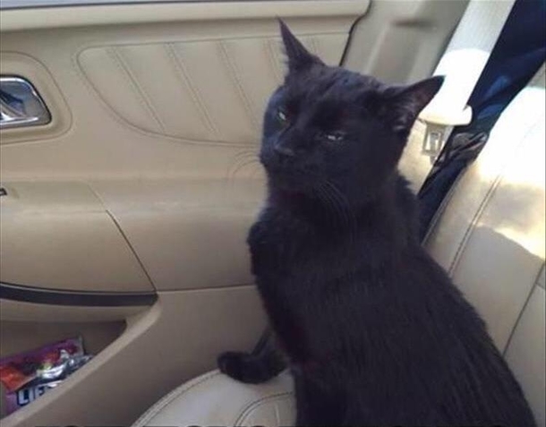 The exact moment he found out he was going to the Vet
