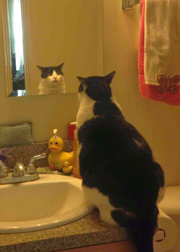 The existential crisis is real