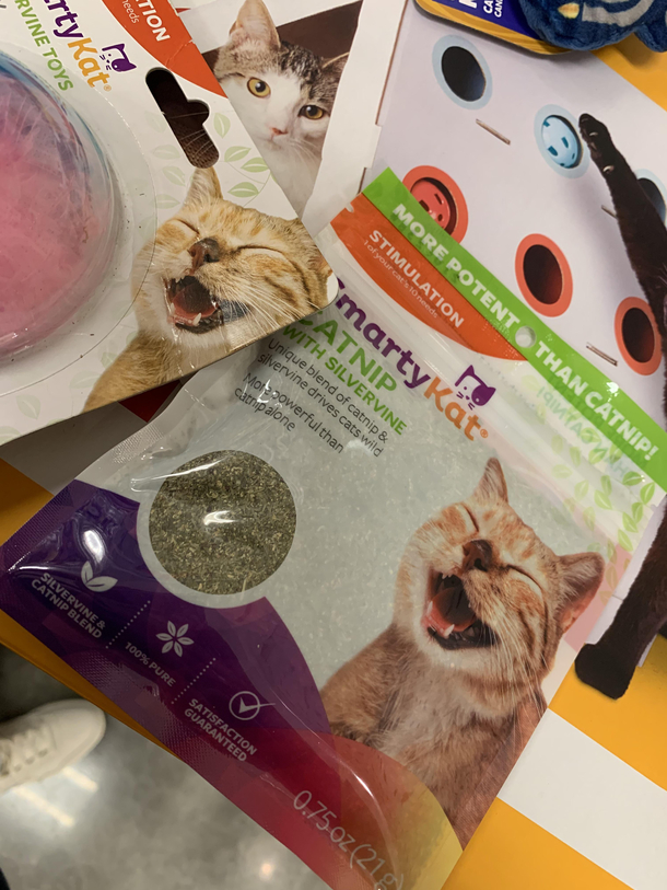 The expression on this cats face