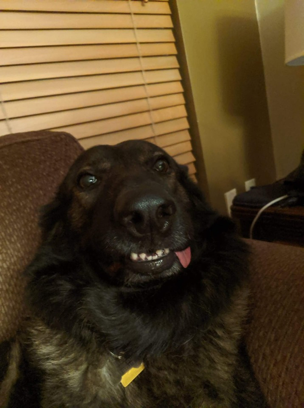 The Face of Derp