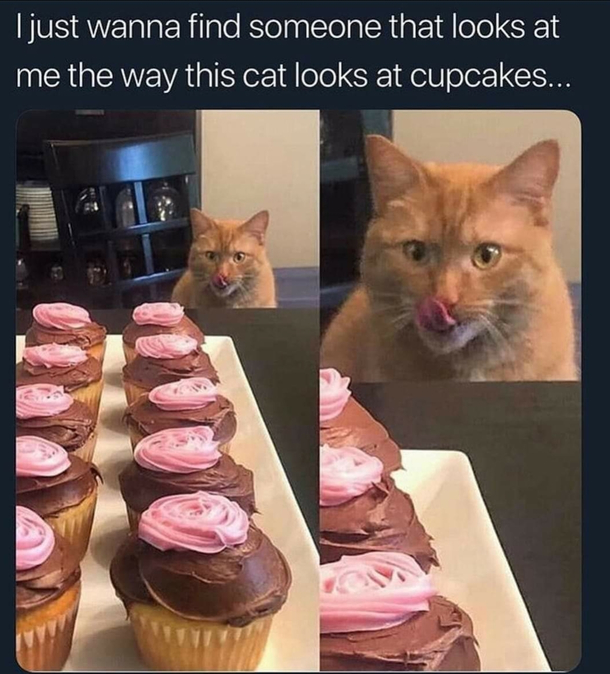 The face of desire