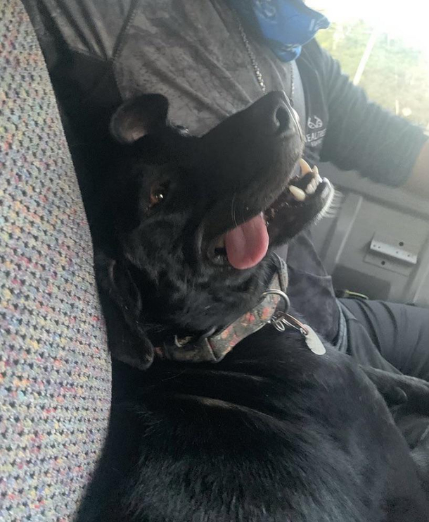 The face of true bliss Carmen loves riding in the truck especially if shes on the way to her grandmas