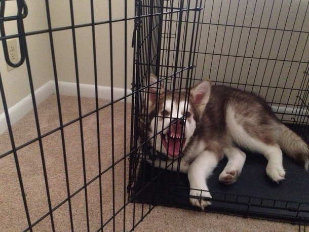 The face only a mother could love