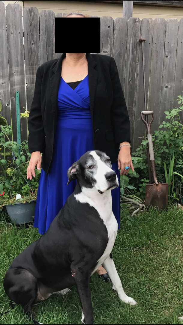 The face she made when she had to pose with my MIL