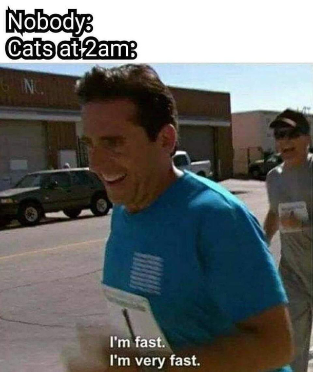 The Fast and the Furry-ous