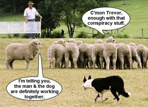 The fate of the conspiracy theorist