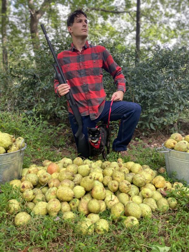 The first day of pear season