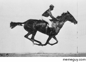 The first film that proved that for one moment all of a horses feet are off the ground 