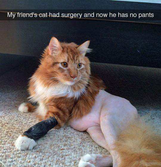 The first time you shave your legs