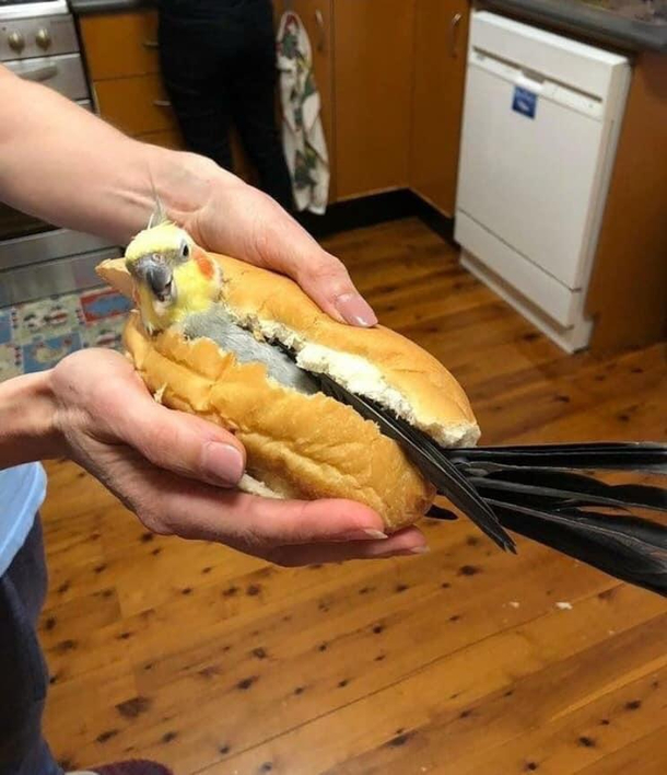 The forbidden sandwich
