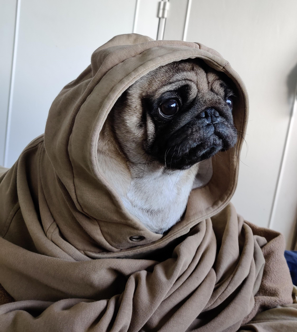 The force is strong with this one