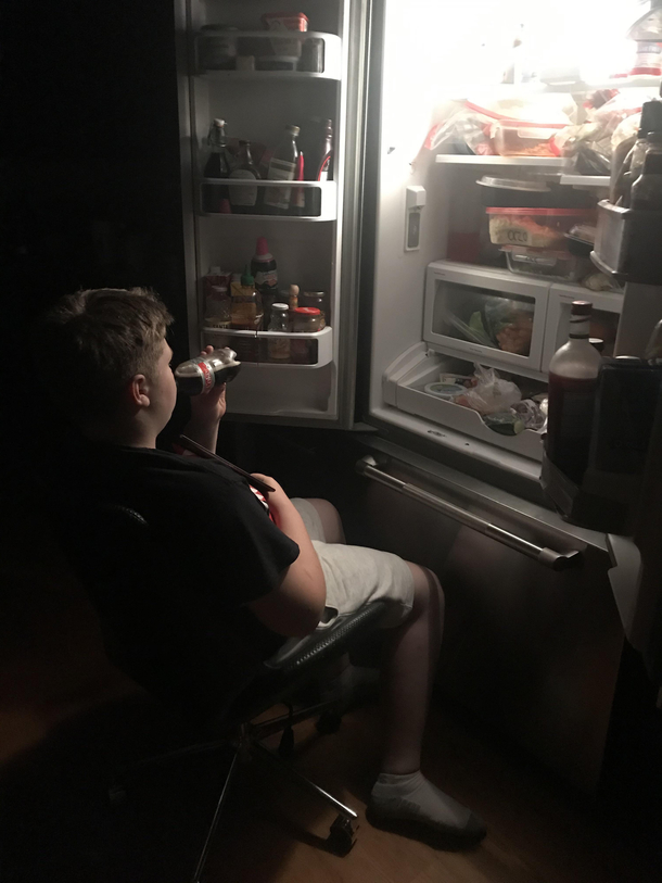 The fridge is just a roll away