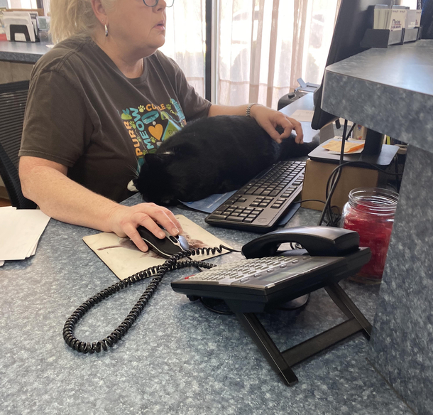 The front desk at my veterinarian offices
