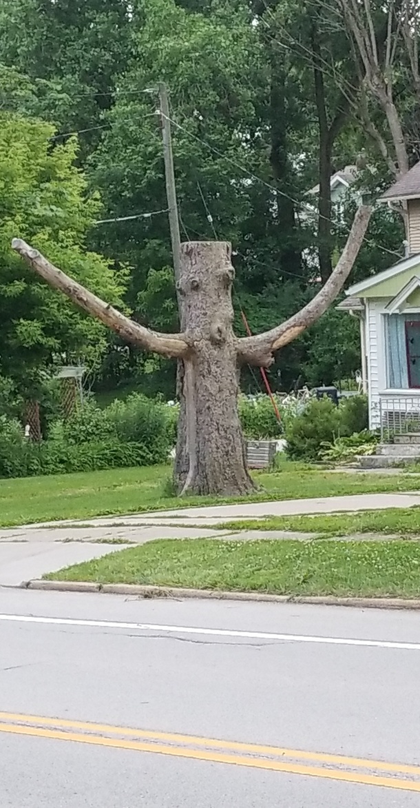 The fuck dude