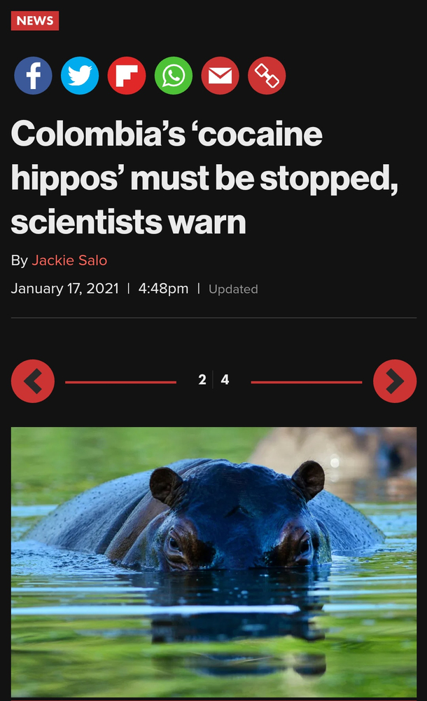 The fucking what